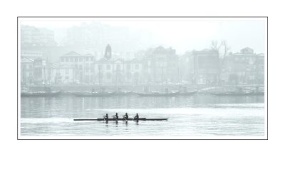 Architecture, Nature & Travel Photography - Rowers on River Duoro by Sandeman’s